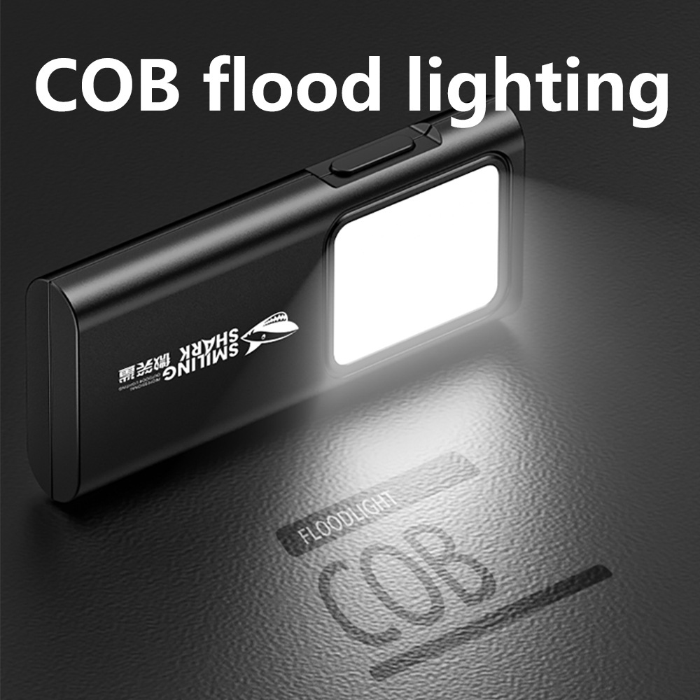 USB-C Rechargeable Mini EDC Po – Edc (Every Day Carry Bewertung und Preis